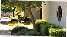 Cedar Business Park in Tempe, Arizona